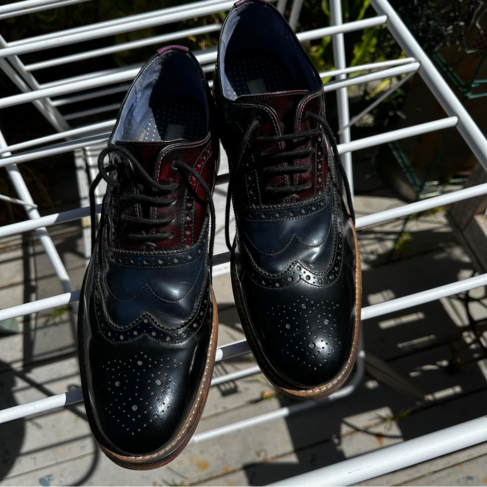 Ted Baker London Blue, Black and Burgandy Oxford Dress Shoes
